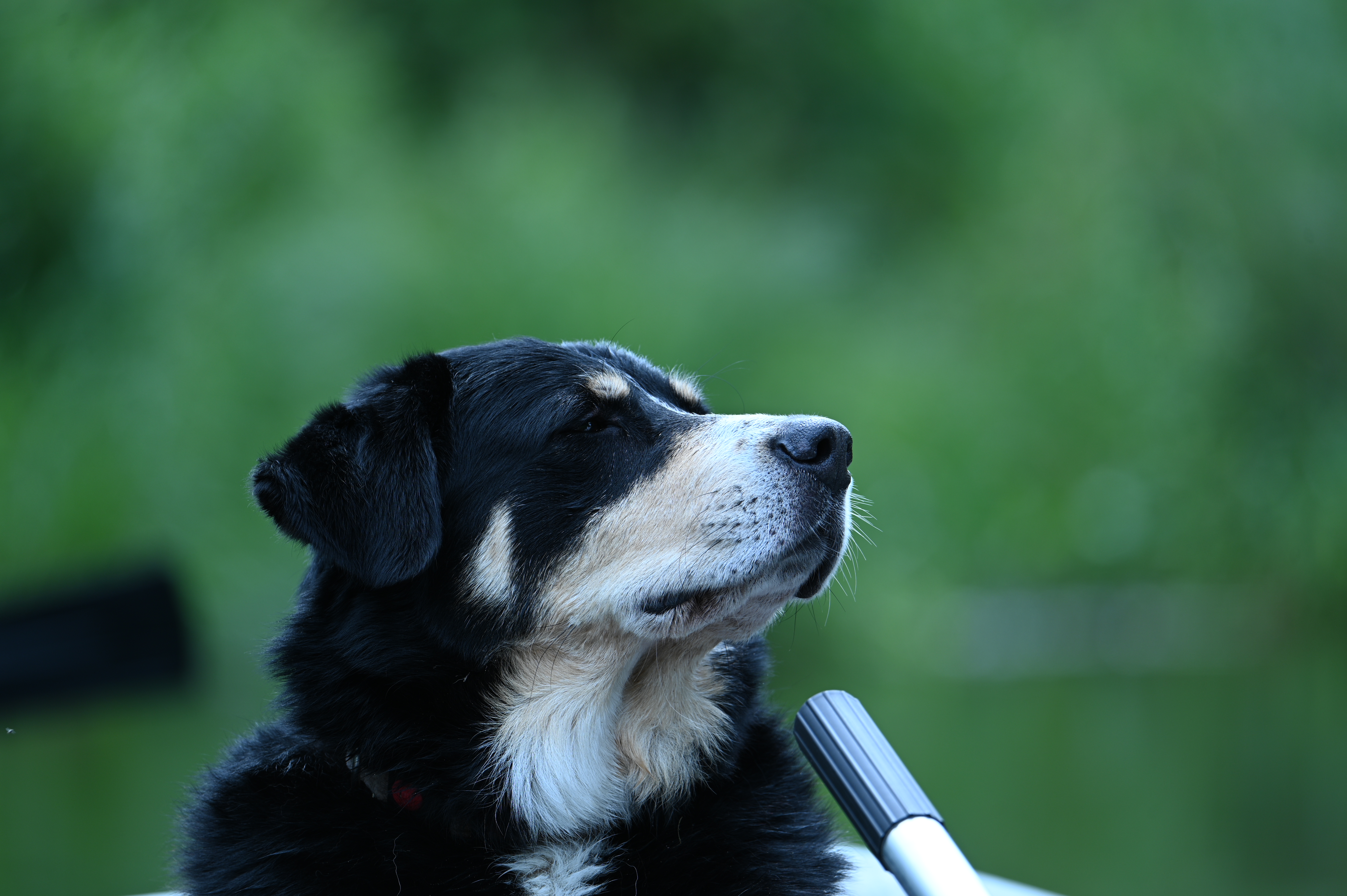 2025/07/09-14 - trip/DSC_0253.JPG